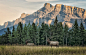 Photograph Two Bull Meadow by Jeff Clow on 500px #采集大赛# #摄影比赛#