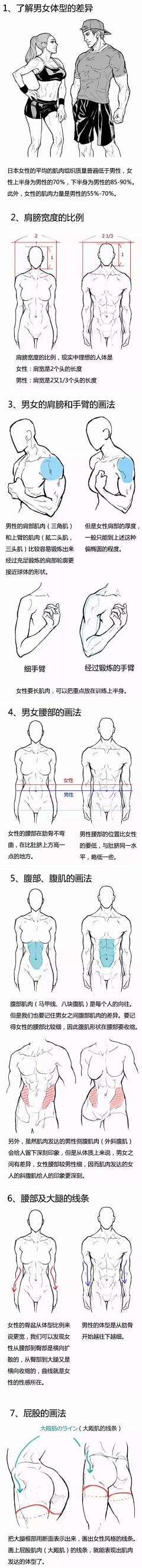 山鬼猫采集到人体结构