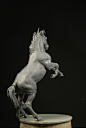 Horse, Patrick MASSON : My second horse<br/>Sculpted in polymer clay (fimo) <br/>Height about 45mm <br/>2016 Commission for Arena Rex