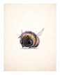 “Bumblebee” by Sydney Hanson* • Blog/Website | (www.sydwiki.tumblr.com): 