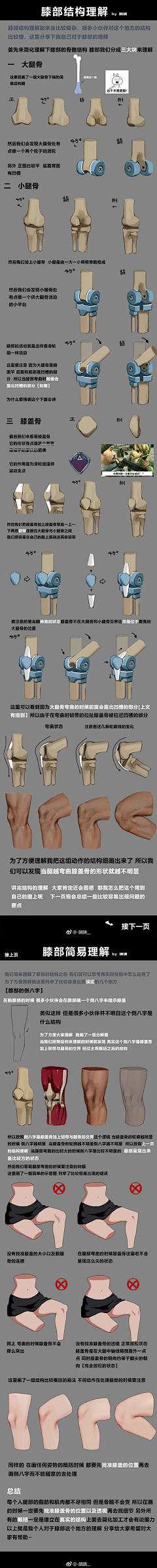 Angus易采集到3-f 人体结构 _ 膝关节 / 腘窝