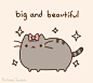 Pusheen the cat : =＾● ⋏ ●＾= Meow! I am Pusheen the cat. This is my blog. (more...)