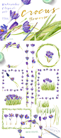 Happy Crocuses - Illustrations - 1