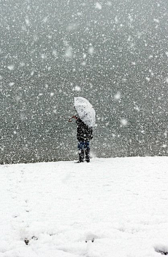 摄影者郑洳亚采集到雪景图