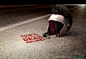 Dead Helmet, 1 | Thai Health Promotion Foundation | 天联 | BBDO
---------------------------------------
我在使用【率叶_花瓣的嫁衣】，一个使用花瓣网”效率更高“的浏览器插件，你也来吧！
> http://jiuxihuan.net/lvye/?yqr=11106119