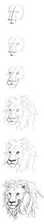 如何画狮子的头： 
