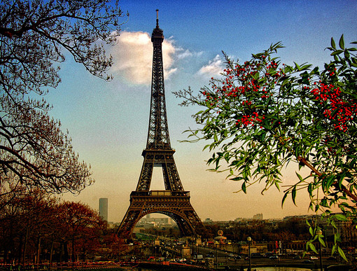 La Tour Eiffel、风景、自然...