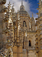 Roofs of the Cathedral, Salamanca, Spain