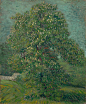 Horse Chestnut Tree in Blossom 1887