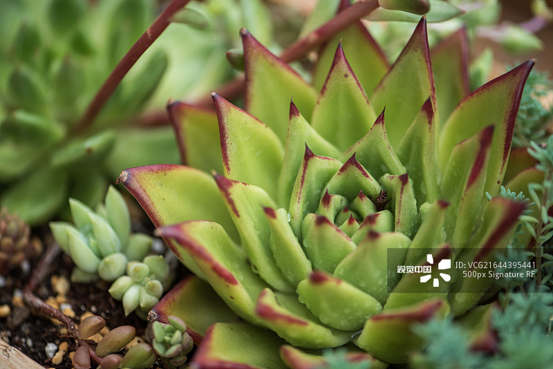 158d5ab59a144dac2a5e6a4763f918e107fcfac31f345-jnrK30