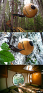 加拿大木匠汤姆-查德莱手工打造的木质球形树屋“自由之球”，位于加拿大不列颠哥伦比亚省。它悬挂在树上，人们通过索桥进入球内。树屋的表面涂上了一层玻璃纤维，保证了它的防水性和坚固性。