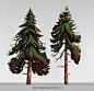 Pine trees concepts, Ulysse Verhasselt : Pine trees concepts, real fun!