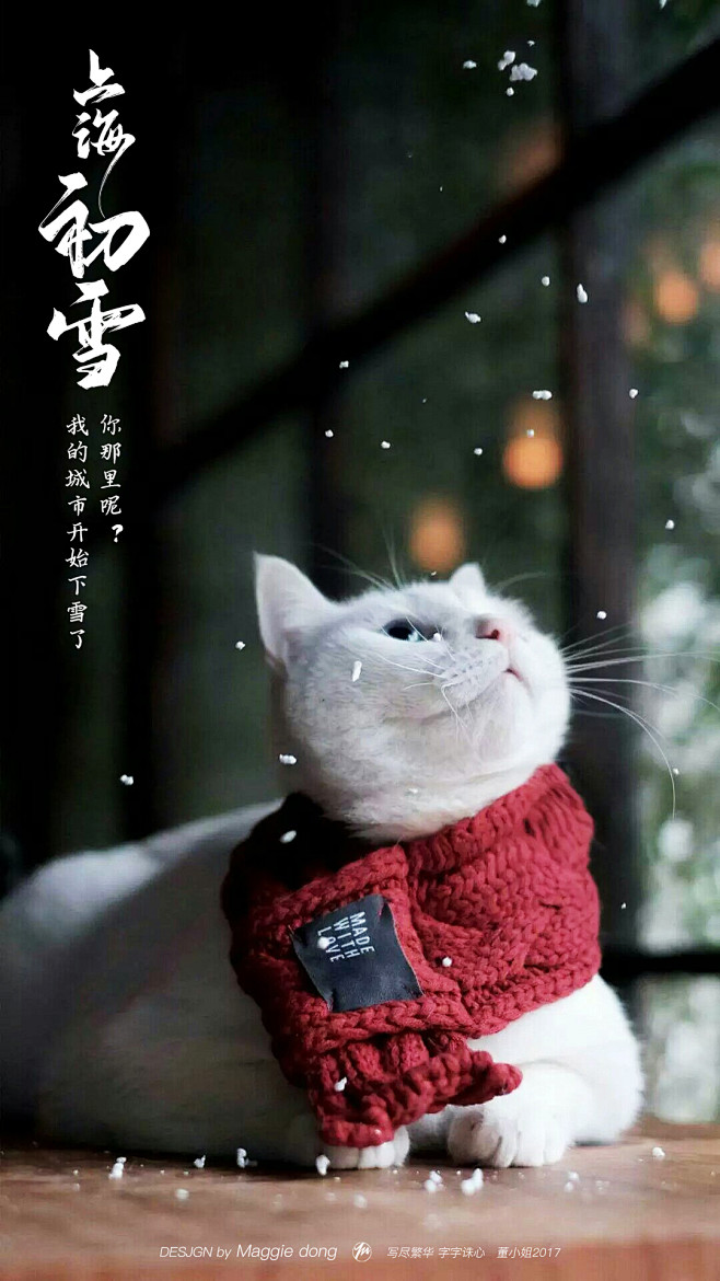 上海。初雪-字体传奇网-中国首个字体品牌...