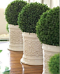 Topiary table centerpieces #topiary