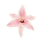 Flower Hair Clips, Silk Flower Hair Clips, Hair Pins and Accessories