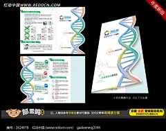 唯M想念╭ァ采集到敏1