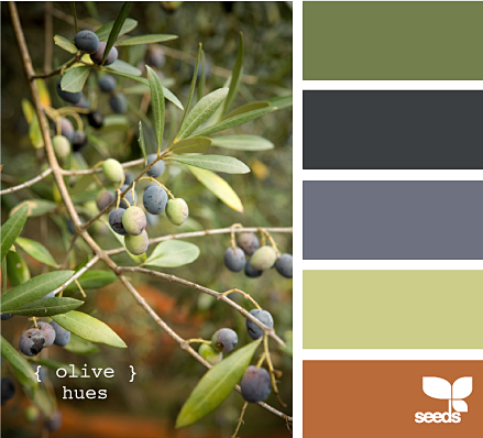 olive hues