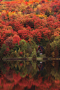 Autumn lake, Québec, Canada