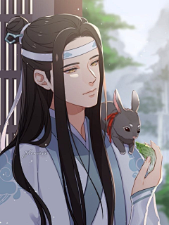 许星纯♡采集到魔道祖师