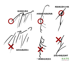 杳兮兮葛曼曼采集到。