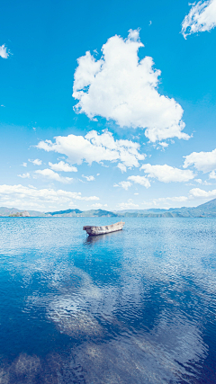 纱蓝采集到蓝海