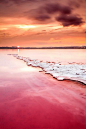 Salt River, Torrevieja, Valencia, Spain