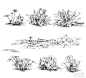 景观植物单体手绘 线稿和马克笔 - 景观手绘 - 绘世界网