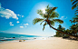 夏日椰树创意海滩高清素材 页面网页 平面电商 创意素材 png素材