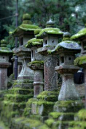 Mossy stone lanterns - could have more lanterns thus, along the flight of steps leading to the Japanese garden...