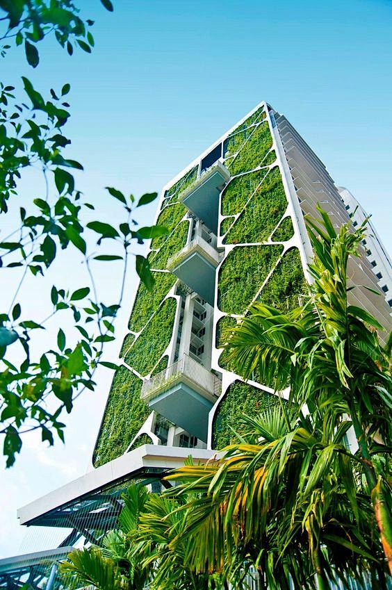 建筑外立面、垂直绿化