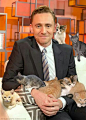 Tom Hiddleston and kittens are just tops!