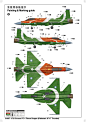 中国FC-1“枭龙”巴基斯坦JF-17“雷电”(b)