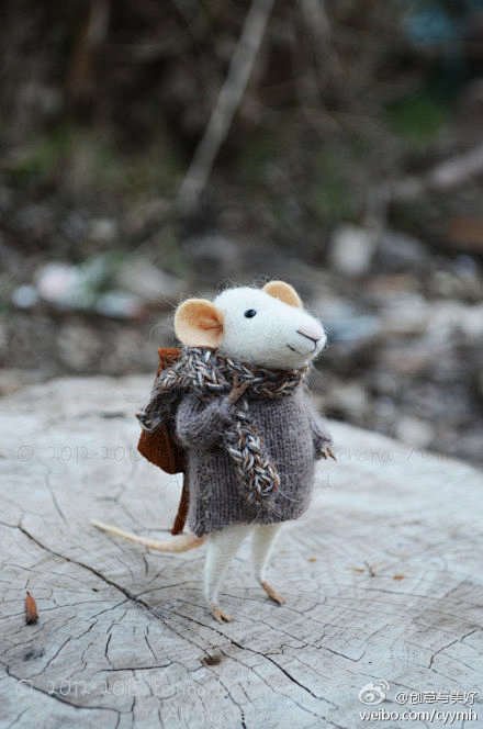 相信好多人都见过这只小老鼠，是智利Joh...