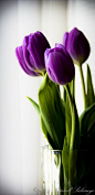 Learn to make tulips last year round! Super easy. I love it!