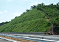 高速公路周边绿化的 搜索结果_360图片