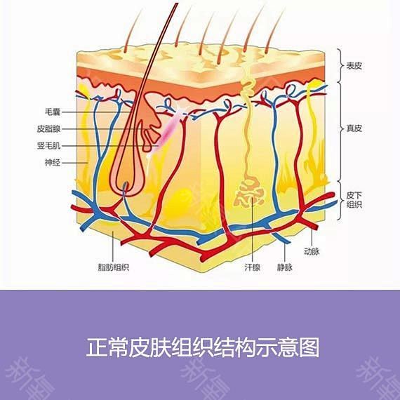 点击查看源网页