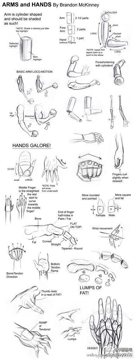 手臂和手的绘画详细教程～