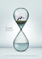 Birdlife - Hourglass Print/Poster Campaign : Print & Poster campaign for Birdlife South Africa