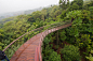 “魔法森林”上“梦幻浮桥”----康斯坦博西植物园树冠走廊Tree Canopy Walkway at Kirstenbosch / mta