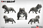接单4皇冠 魔形社 美国 恶霸犬 BULLY 1/6 动物模型-淘宝网