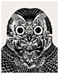 Owl 猫头鹰的肖像插画设计 设计圈 拼图详情页 设计时代网-Powered by thinkdo3