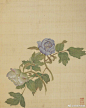 《牡丹十六种》册由清代宫廷画家蒋廷锡绘于康熙六十一年（1722年）。全册十六开，描绘折枝牡丹十六种，均照紫禁城花园中所植牡丹而临，这里展示了设色相对清雅的前八开。 ​