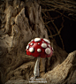 #软陶# 捕捉到神作！这里有毒蘑菇一打，太逼真了简直就是从童话故事里掉出来的一样。 By Petradi Finland ,Greece