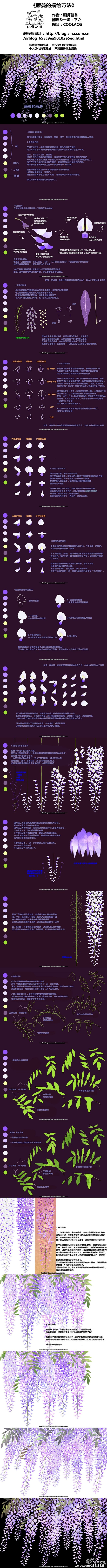 平之君_的照片 - 微相册