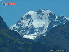 摇曳的小花采集到雪山