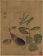 文俶（1595―1634年），字端容，长洲（今江苏苏州）人。明代画家文从简女，文徵明玄孙女，精于花草虫蝶画的创作。嫁赵灵均，与丈夫一同隐居。擅花卉，长于写生，多画幽花异卉、小虫怪蝶，能曲肖物情，颇得生趣。作品笔墨细秀，风格娟丽，深得时人赏识。有《花卉》册、《萱石图》等传世。女赵昭，亦能画花卉，工写生，能承其家学。

花鸟画是女性画家们最热衷表现的题材，出于女性细腻的情感和她们对花鸟特有的偏爱，及花鸟具有托物言志、比兴的审美意趣，促使深居中的女子，对自己生活中最常见的花鸟加以表现并形成了一定的创作规模，文俶