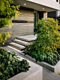 Butterfly House by John Maniscalco Architecture (5)