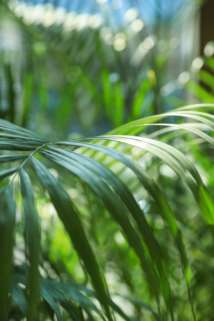 177a54fc1c2f51c72c2419ccaf286231a90dd9b473cb7-ycwNzw