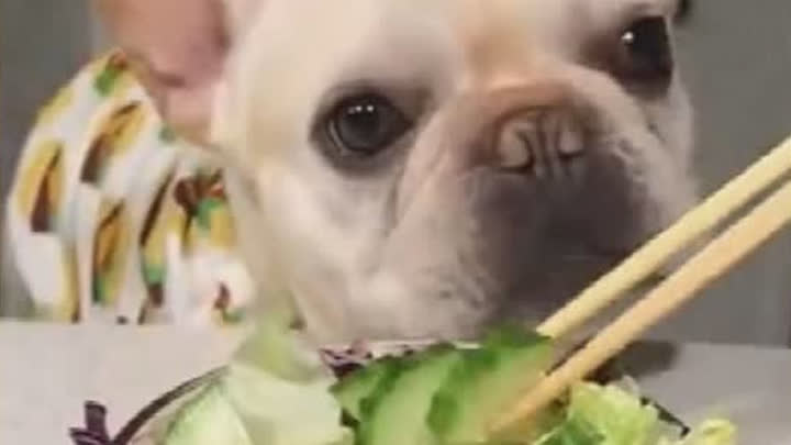 178a49197e217c9a2c9a28299f719a1d52a96a4253f2-rPgpJu