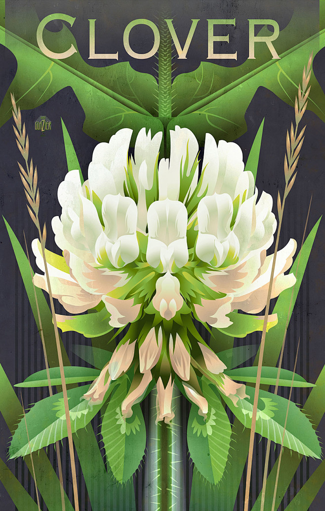 Botanical Graphics: ...